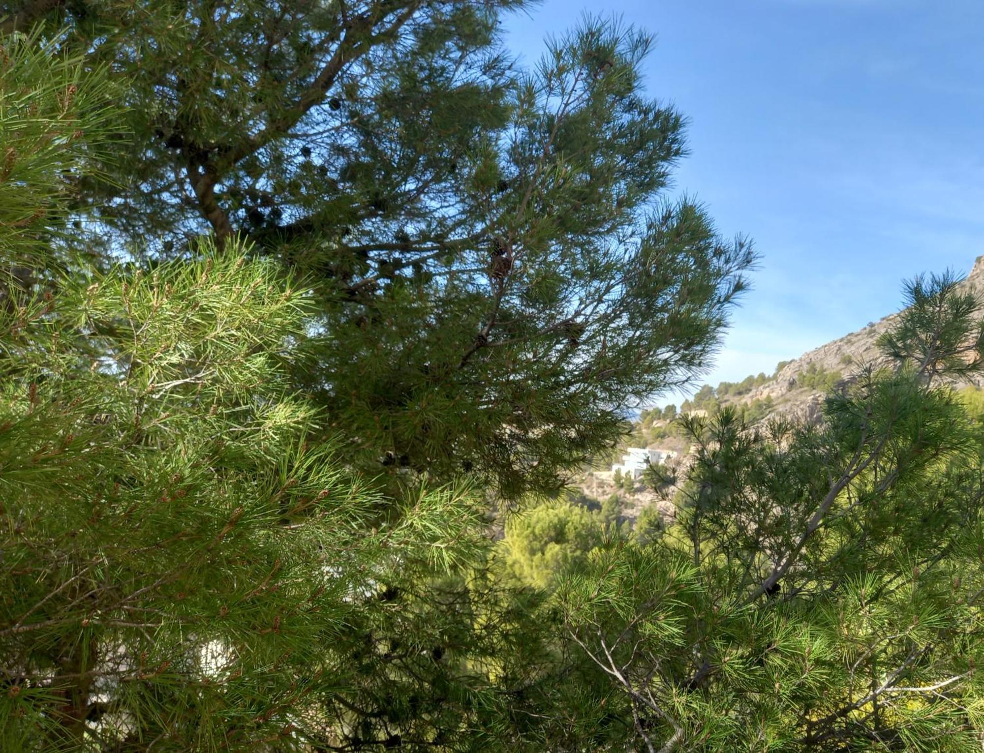 Villa Townhouse Altea Hills Esterno foto